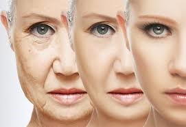 Collagen là gì? Tại sao phụ nữ sau 25 tuổi cần bổ sung ngay?